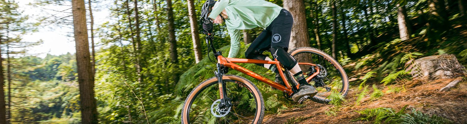 hardtail_collection